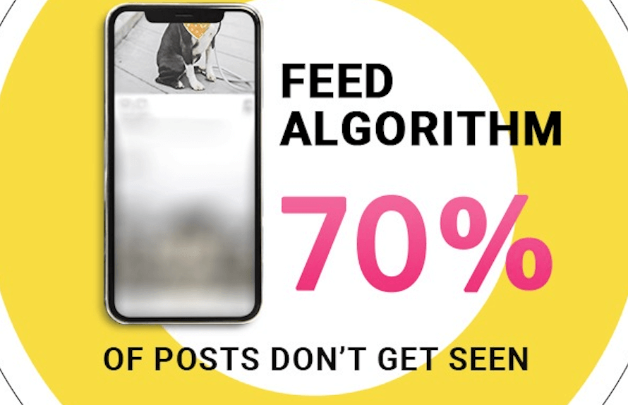 feed-algorithm